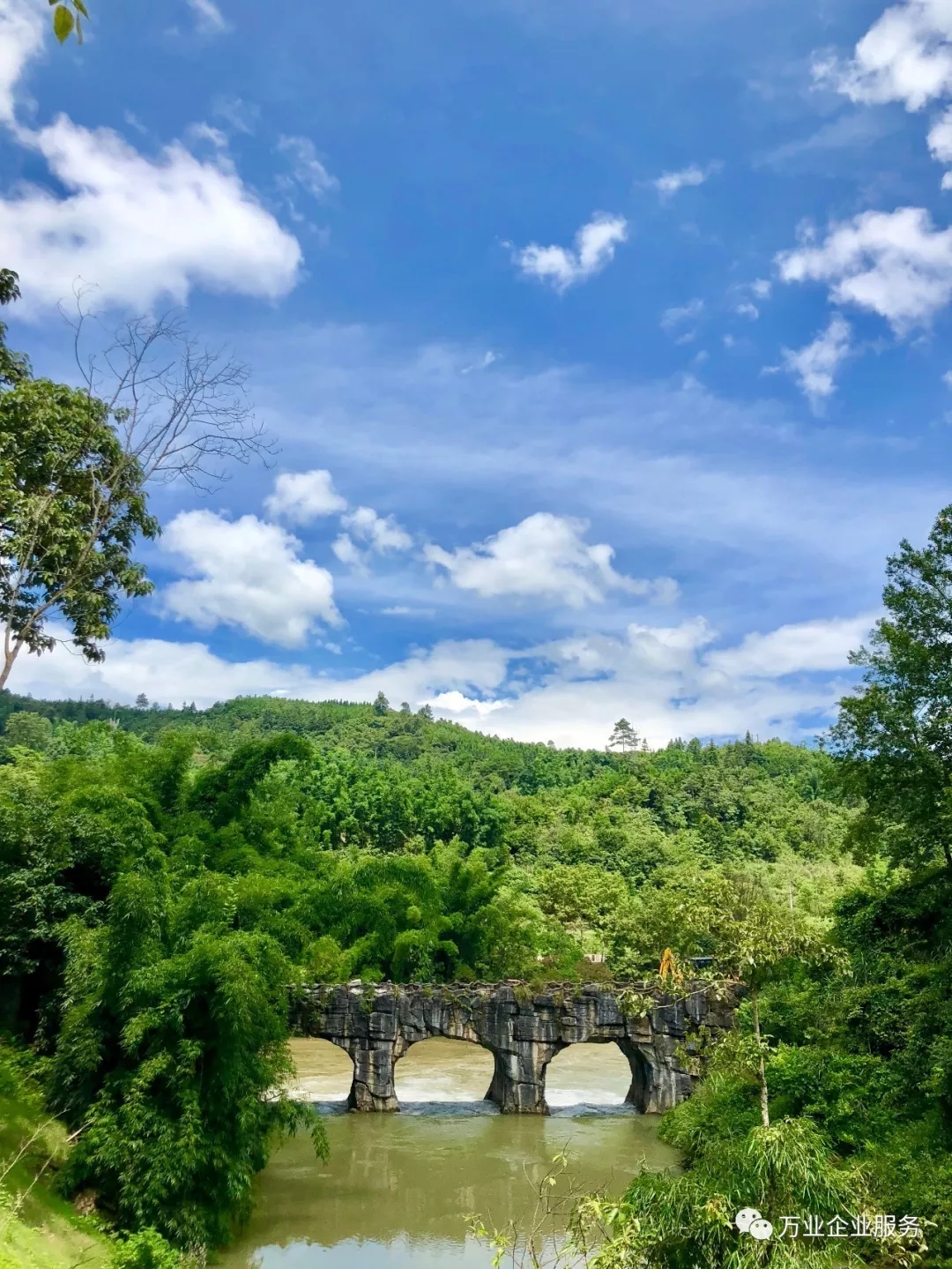 汽車開動(dòng)分割線